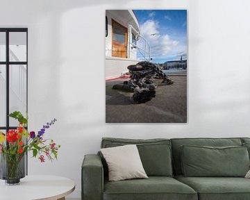 Klamp waaraan een schip is afgemeerd in de Alster in Hamburg van Andrea Gaitanides - Fotografie mit Leidenschaft