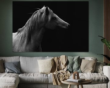 Essenz der Eleganz - Schwarz-Weiß-Pferdeporträt von Femke Ketelaar