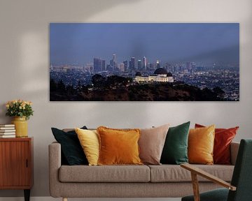 Griffith Observatory and Los Angeles by Fred Kamphues