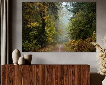Forest Black Forest, Klosterreichenbach by Guido de Kleijn