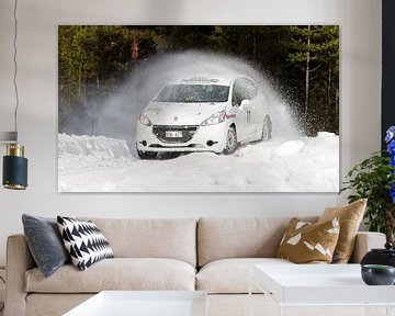 Winter Rally von Hamperium Photography