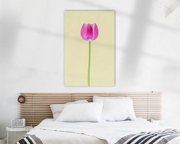 La tulipe emblématique 1. sur Pieter van Roijen
