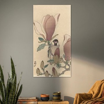 Ohara Koson - Moineau sur une branche de magnolia en fleurs (édité) sur Peter Balan
