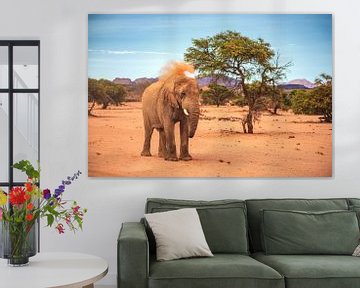 Namibia Damaraland Wüstenelefant mit Peeling von Jean Claude Castor