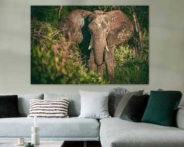 Namibia Elephant in the Etosha Pan by Jean Claude Castor