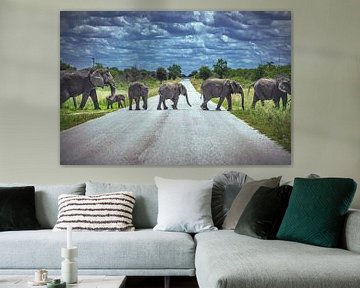 Namibia Elefantenherde auf der Straße von Jean Claude Castor