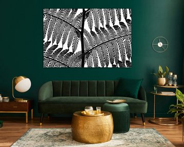 black white fern leaf by Corrine Ponsen