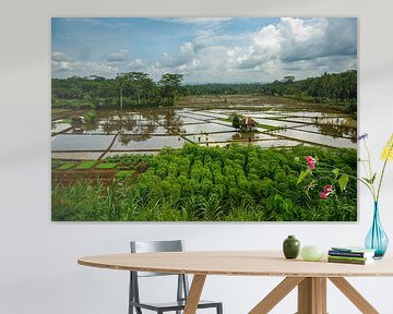 Prachtig uitzicht over de rijstvelden op Java van Humphry Jacobs