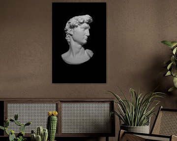 Michelangelos David: Ein ikonisches Meisterwerk in Schwarz und Weiß von I love you David