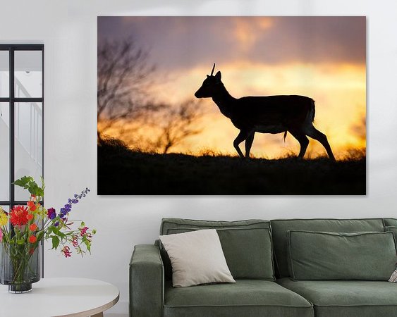 Voorbeeld van het werk in een kamer