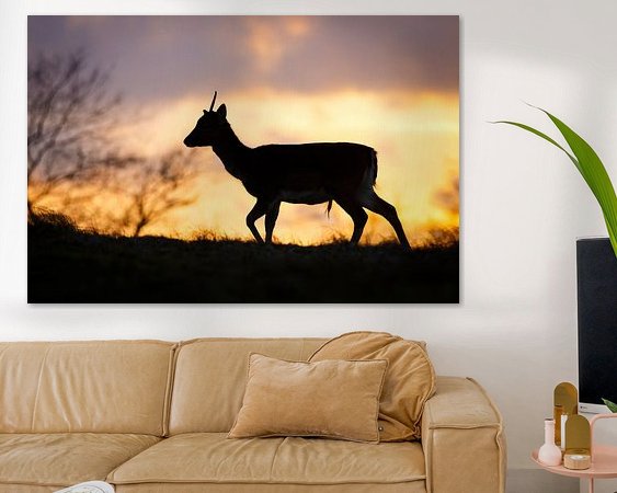 Voorbeeld van het werk in een kamer