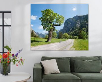 bike route Ahornboden, spring landscape tyrol austria by SusaZoom