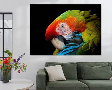 Kleurrijke papegaai van Angelika Beuck