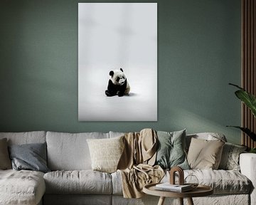 L'ours Panda le plus mignon sur haroulita