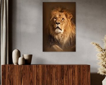 Löwe schaut auf von Michar Peppenster