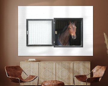 Porträt eines Pferdes im Rahmen des Stalles von Jacqueline Gerhardt
