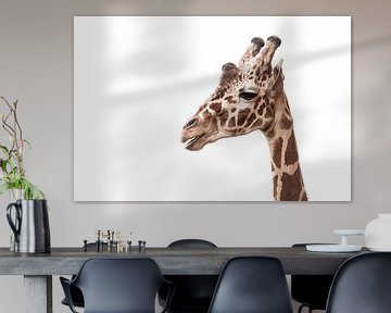giraffe by Saartje Lommelen