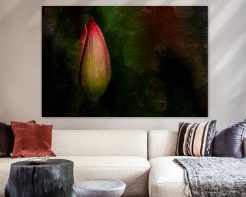 Illuminating tulip by Greetje van Son