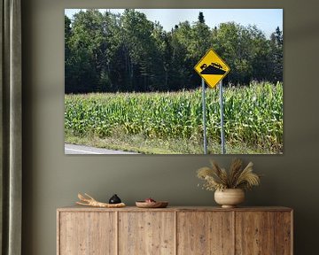 An area of maize in summer by Claude Laprise