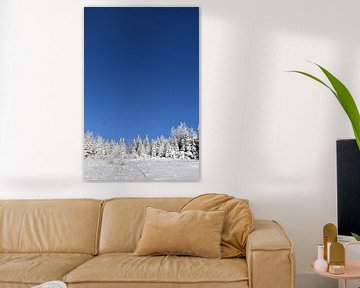 Een ijzig bos onder een blauwe hemel van Claude Laprise