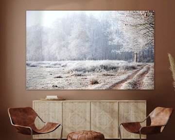 winterlandschap drenthe van Karen Velleman