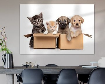 Baby dogs and cats in a cardboard box on a white background, i by Animaflora PicsStock