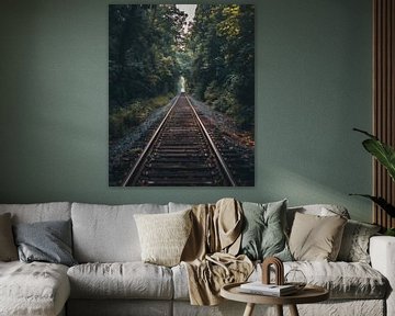 Spoorlijn in het bos van fernlichtsicht