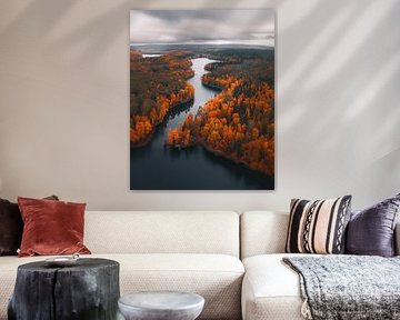 Autumn landscape from above