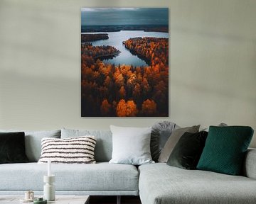 Splendour of colour in autumn