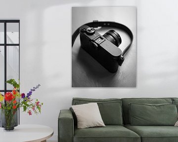 Camera in zwart-wit van fernlichtsicht