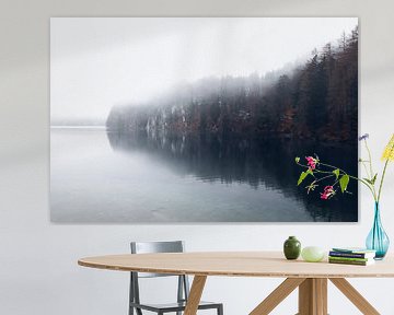 winter at the Alpsee Germany | minimalist | rugged nature | photo wallpaper by Laura Dijkslag