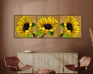 Sunflowers by Violetta Honkisz