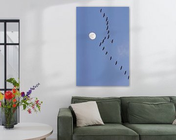 Kraniche mit Mond von Corinne Welp