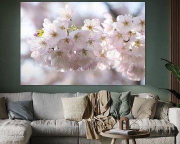 Photo de rêve d'une branche de fleur rose sur Elbertsen Fotografie