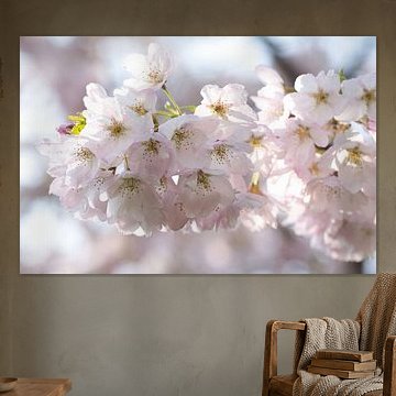 Photo de rêve d'une branche de fleur rose