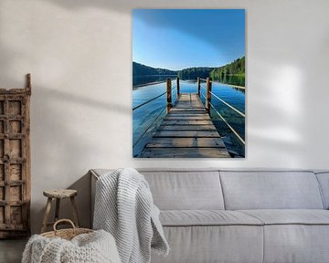 Vue sur le lac