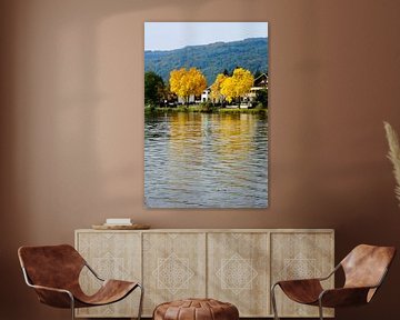 Autumn on the Moselle in Traben-Trarbach by Gisela Scheffbuch