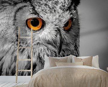 Owl by Bas Van Ooijen