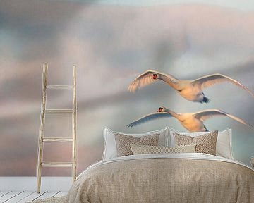 Zwanen duo van natascha verbij