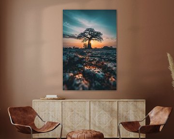 Le lever du soleil sous une nouvelle perspective