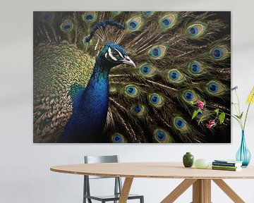 Peacock close-up by De Muurdecoratie
