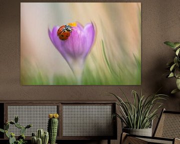 "Spring Dreams: A Crocus Enriched with Love" by natascha verbij