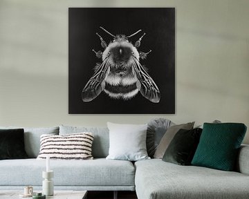 black and white portrait of a bumblebee by Margriet Hulsker