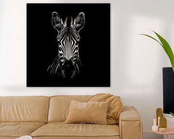 Stirnseite eines Zebras, das direkt in die Kamera schaut