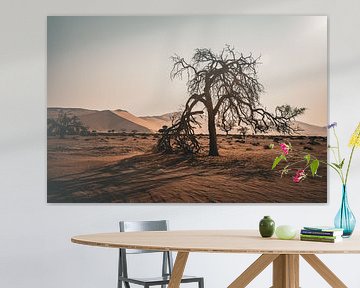 Namib woestijn 2023 - zonsondergang en een gehavende boom van Sanne Meijer