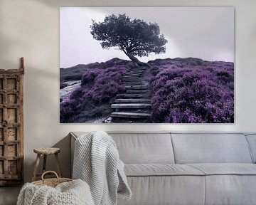 Brouillard derrière un arbre