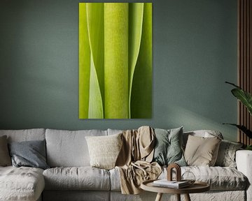 Photographie abstraite : Vert vertical sur Marjolijn van den Berg