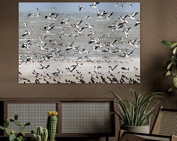 Shelducks in flight by Anja Brouwer Fotografie