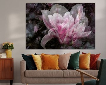 Magnolia, roze bloesem, bijvoorbeeld als acrylprint, metal, aluminium of artFrame van Josine Claasen