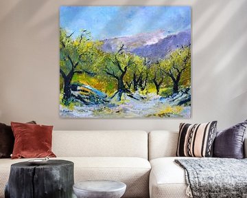 Olijfbomen in de provence van pol ledent